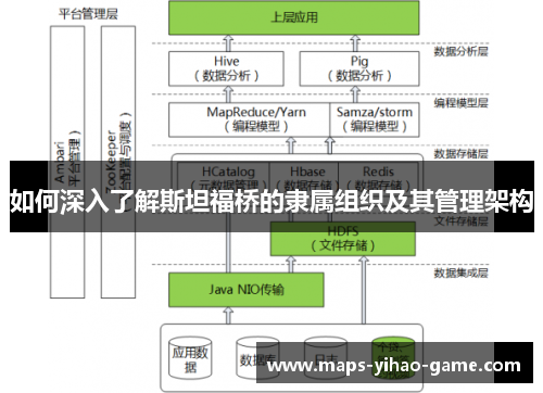 如何深入了解斯坦福桥的隶属组织及其管理架构
