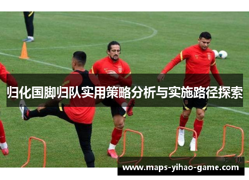 归化国脚归队实用策略分析与实施路径探索